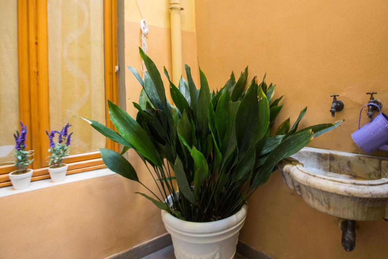 Charming Fiesolana Apartment In Heart Of Florencia Exterior foto